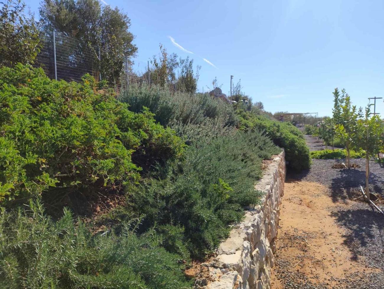 Gregory'S Farm Apartment Lefkakia Exterior photo